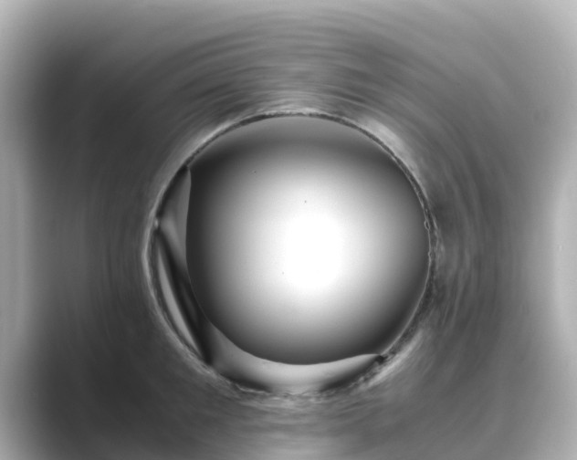 X0000089410901200706221133