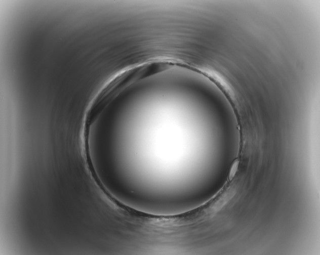 X0000089410902200706221133