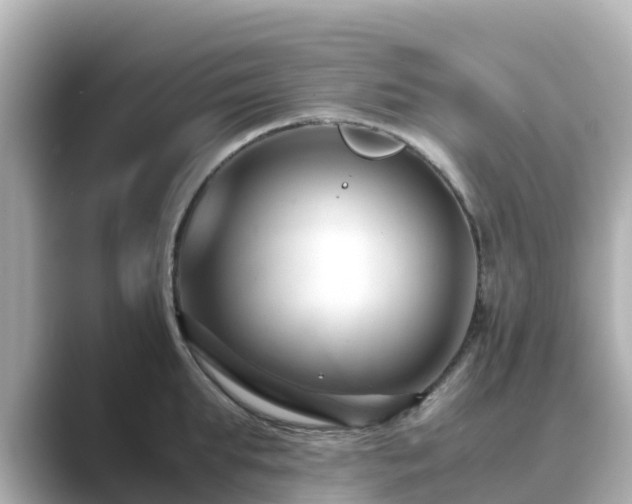 X0000089410903200706221133