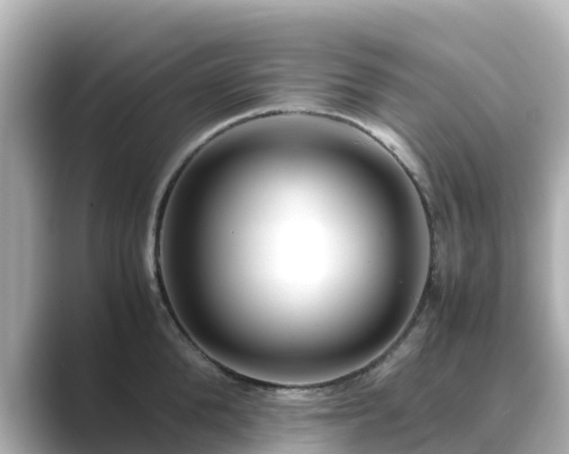 X0000089410904200706221133