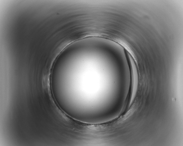X0000089410906200706221133