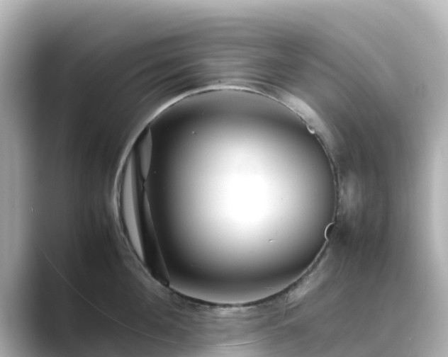 X0000089410908200706221133
