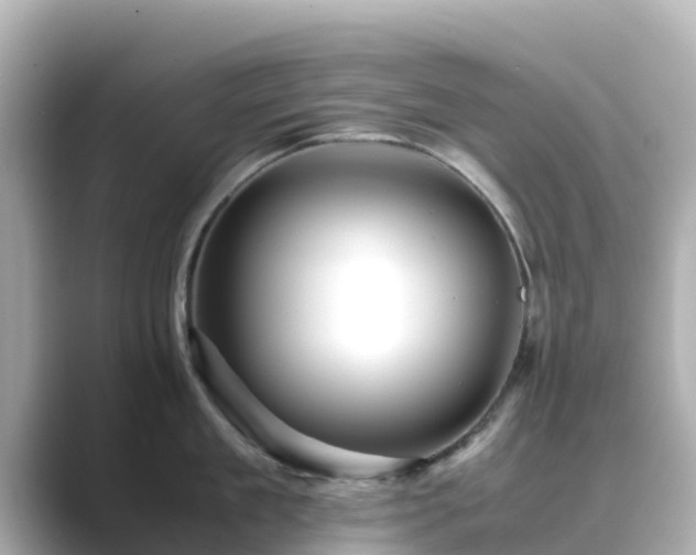 X0000089410909200706221133