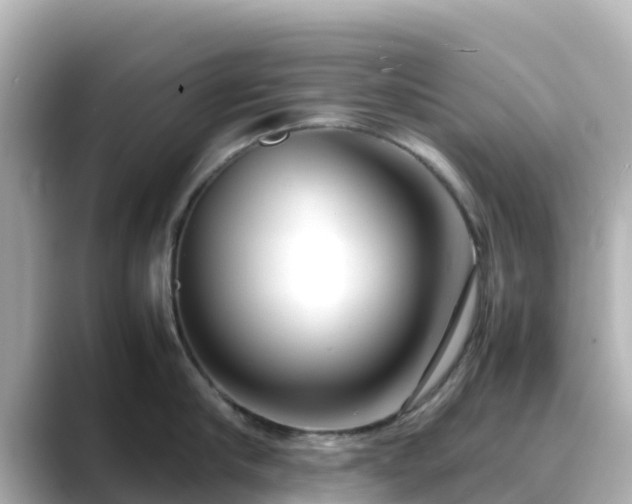 X0000089410910200706221133