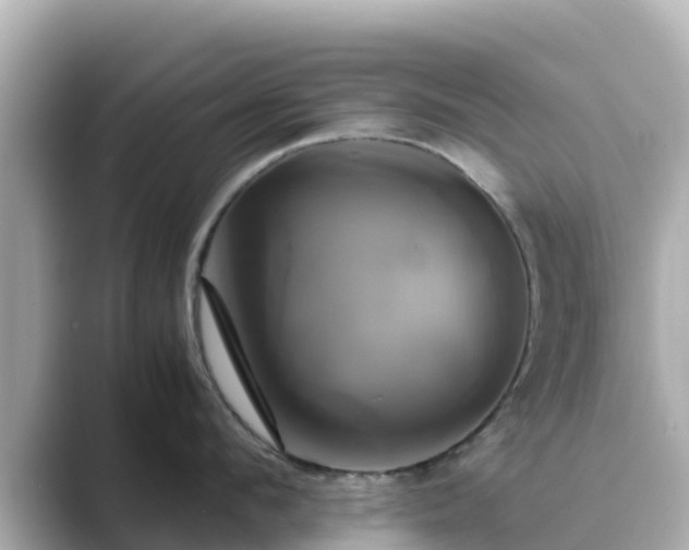 X0000089410912200706221133