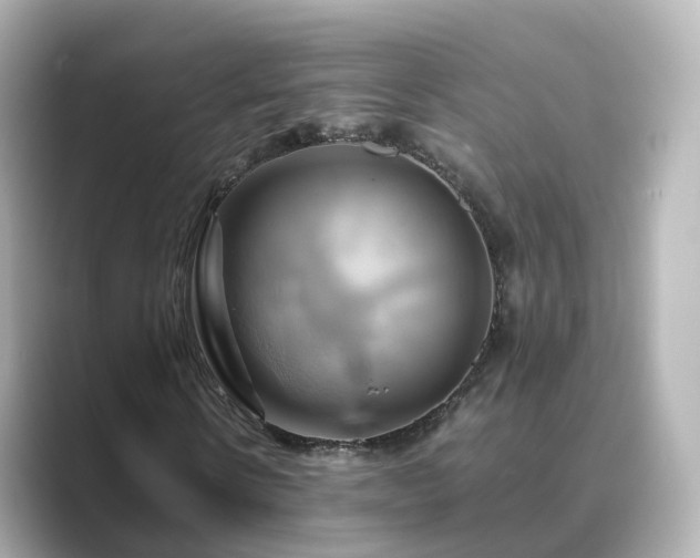 X0000089410914200706221132