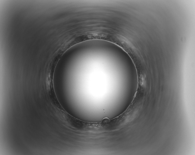 X0000089410915200706221132