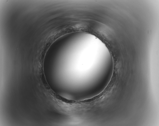 X0000089410917200706221132