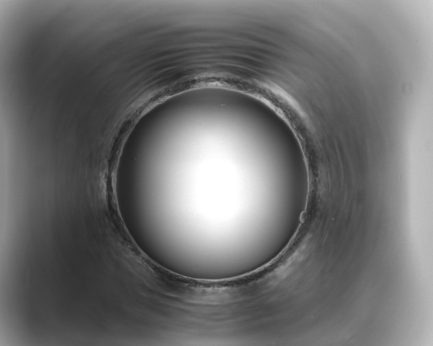 X0000089410921200706221132