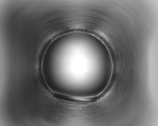 X0000089410922200706221132