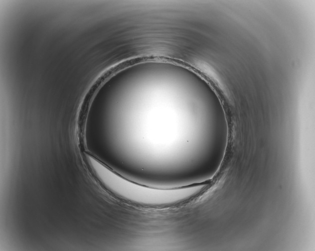 X0000089410924200706221132