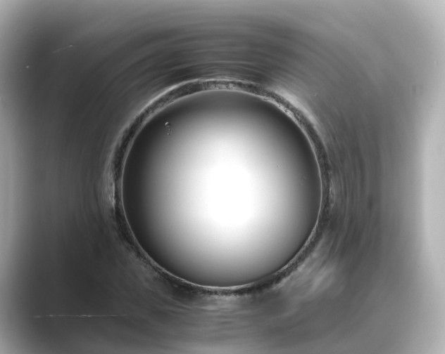 X0000089410925200706221132