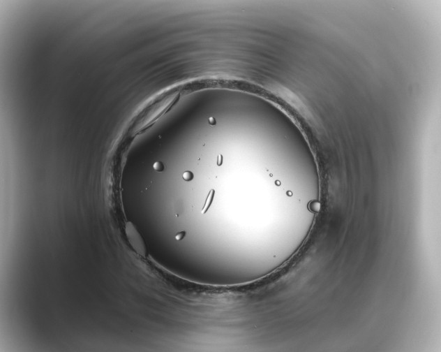 X0000089410926200706221132