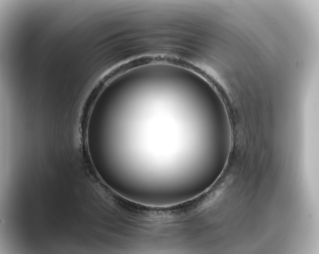X0000089410927200706221132
