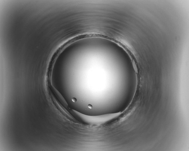 X0000089410928200706221133