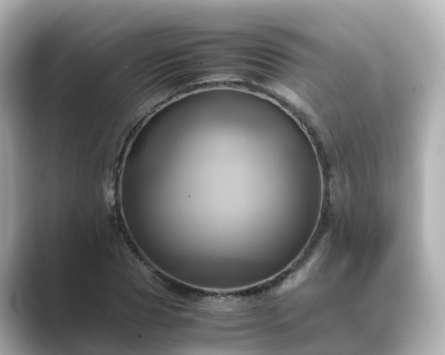 X0000089410929200706221133