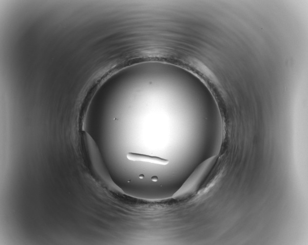 X0000089410930200706221133