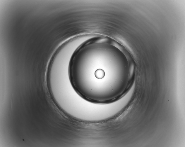 X0000089410932200706221133