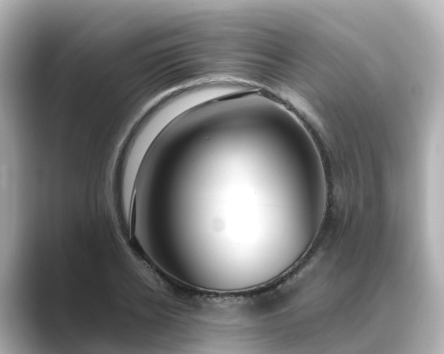 X0000089410934200706221133