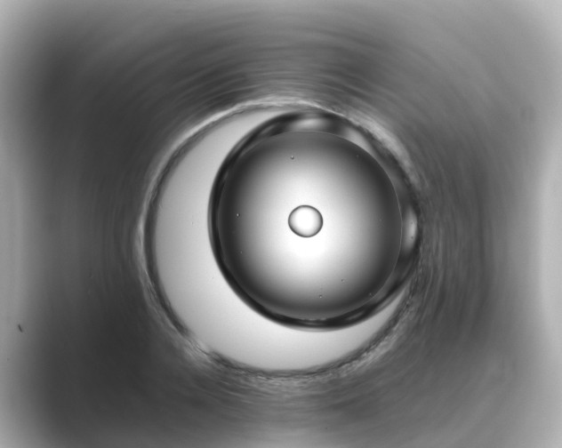 X0000089410936200706221133
