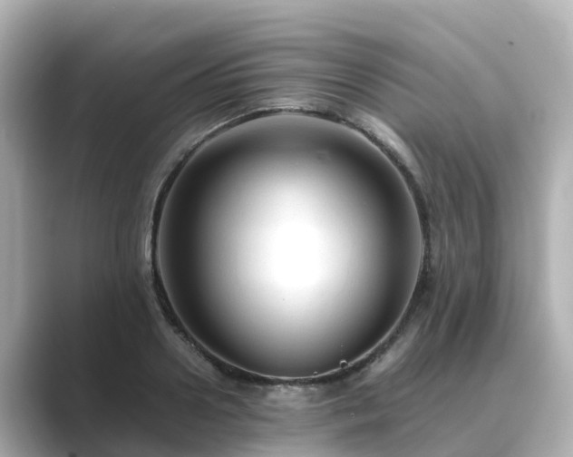 X0000089410938200706221133