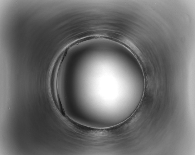 X0000089410939200706221133