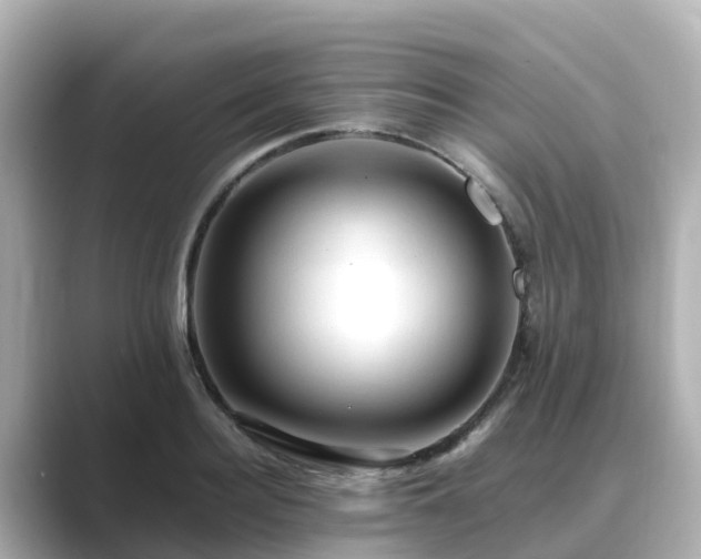 X0000089410940200706221133