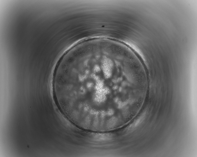X0000089410941200706221133