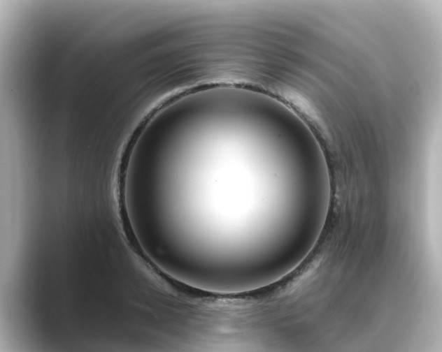 X0000089410942200706221133