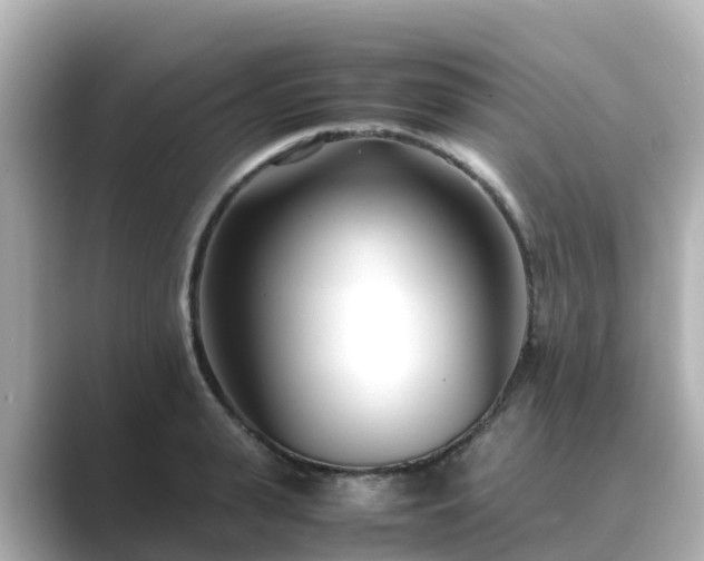 X0000089410943200706221133