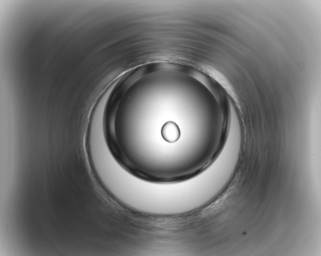 X0000089410946200706221133