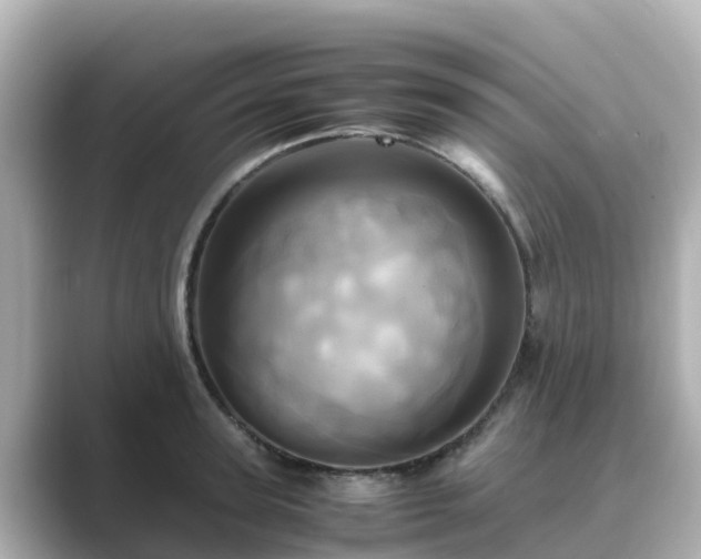 X0000089410947200706221133