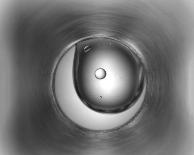 X0000089410948200706221133