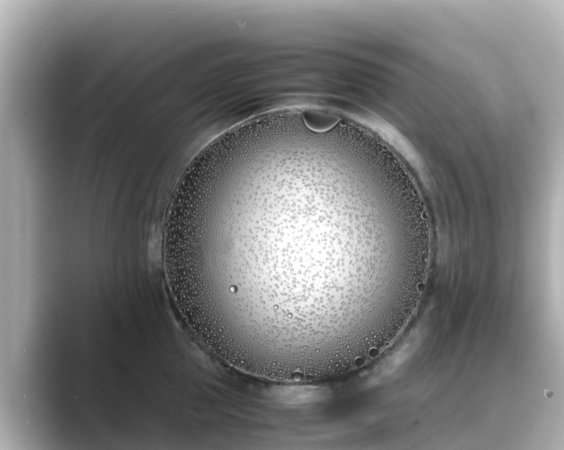 X0000089410953200706221133