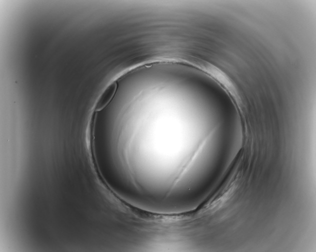 X0000089410958200706221133