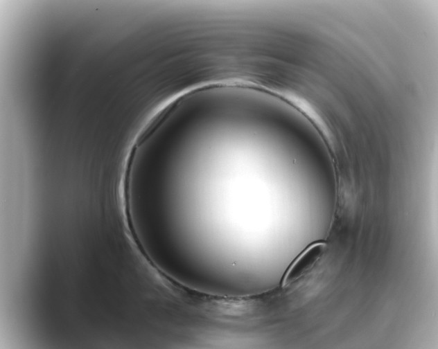 X0000089410959200706221133