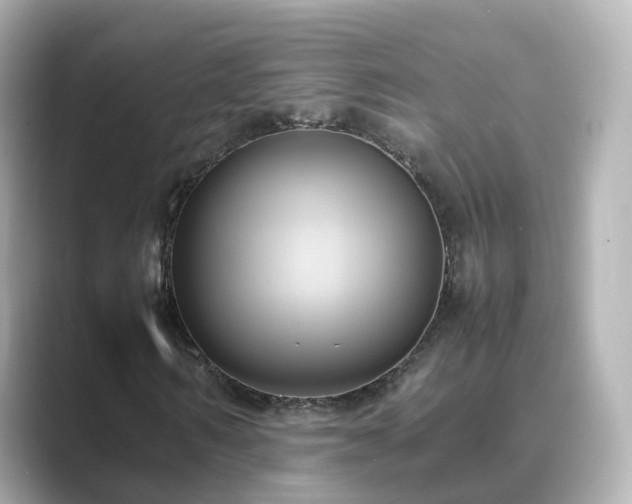 X0000089410962200706221132