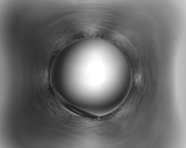 X0000089410964200706221132