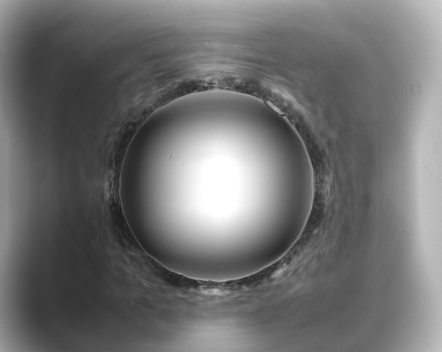 X0000089410965200706221132