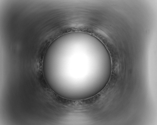 X0000089410966200706221132