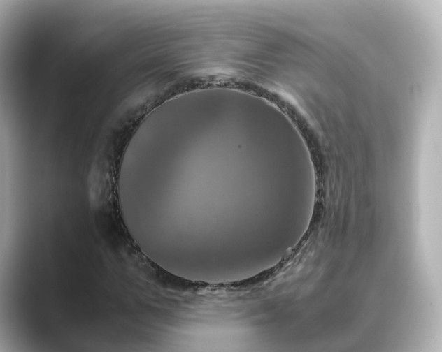 X0000089410967200706221132