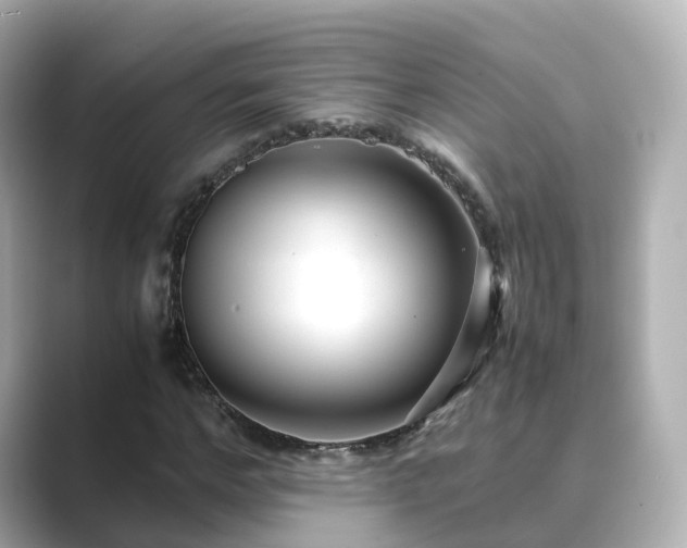 X0000089410968200706221132