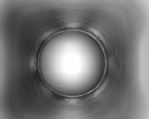 X0000089410970200706221132