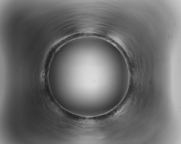 X0000089410971200706221132