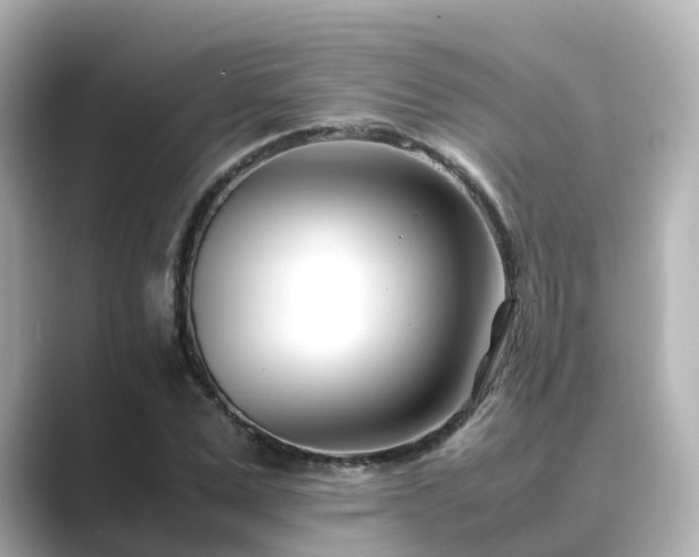 X0000089410975200706221132
