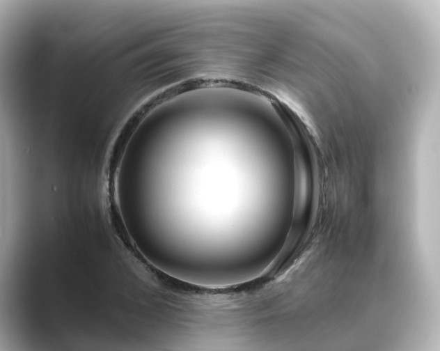 X0000089410976200706221132