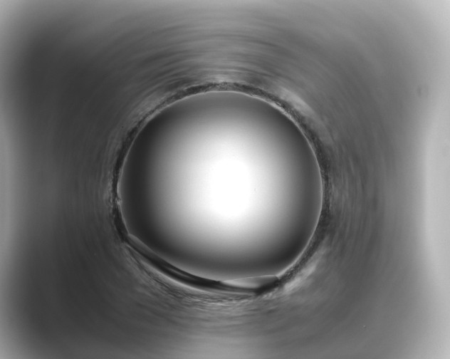 X0000089410977200706221132