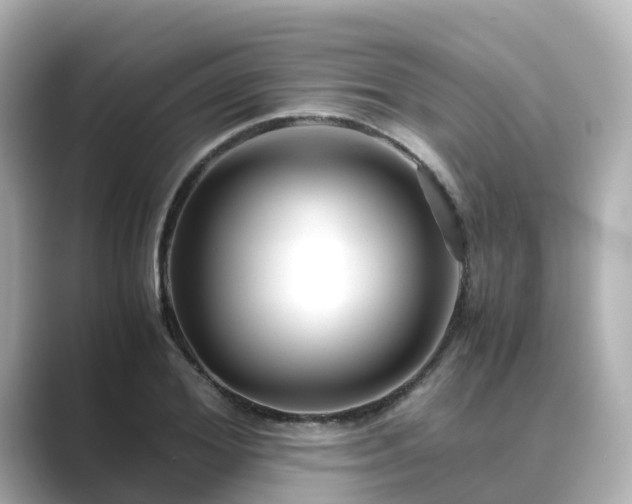 X0000089410980200706221132