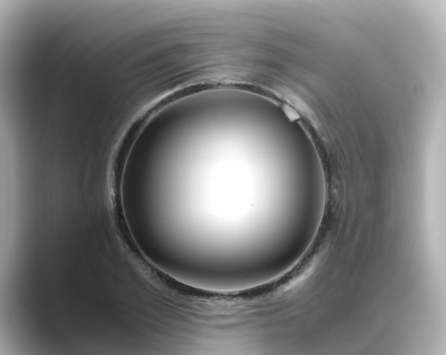 X0000089410981200706221132