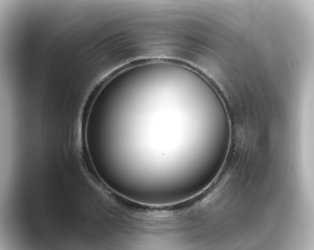 X0000089410982200706221132
